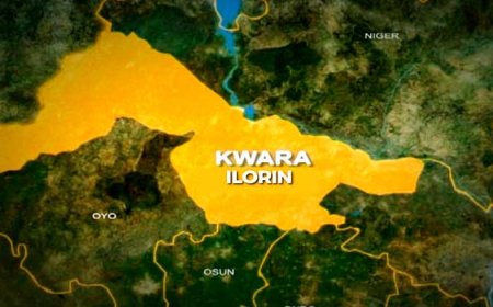 50 Street Children Enjoying Free Education In Kwara – Commissioner
