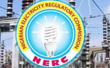 Regulator Advances Net Billing System For Renewable Energy Investment, Grid Supply