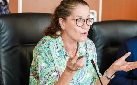 Germany-Nigeria trade volume rises 30% to €3 billion – Ambassador
