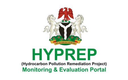 Ogoni mangrove restoration project nearing completion – HYPREP