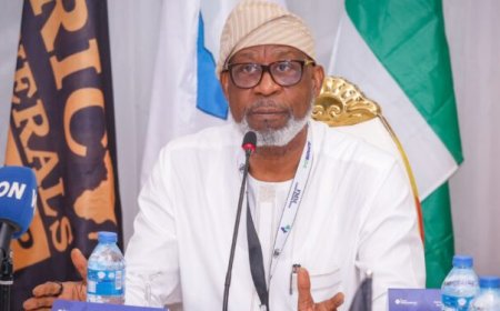 Chinese firms invested over $1.3billion in Nigeria’s lithium sector – Alake