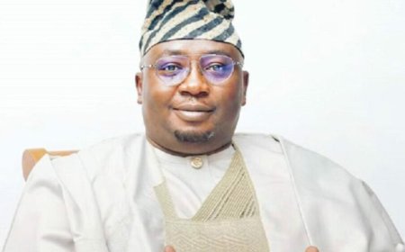 Govt Mulls Minimum Capital Threshold For Power Distributors’ Licence Renewal