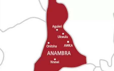 Group Deploys 5,000 Monitors For Anambra Guber Election