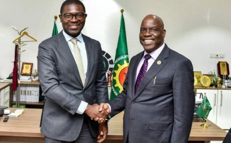 Prioritise Nigeria’s Oil Sector Funding, Upstream Regulator Urges Bank of America