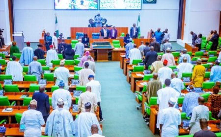 House of Representatives approves Tinubu’s $2.35 billion loan request for 2025 budget