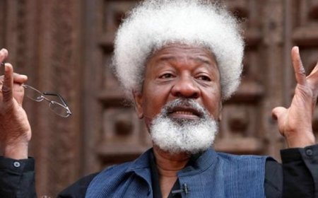 'Visas Are Privileges, Not Rights': US Defends Soyinka's Visa Revocation