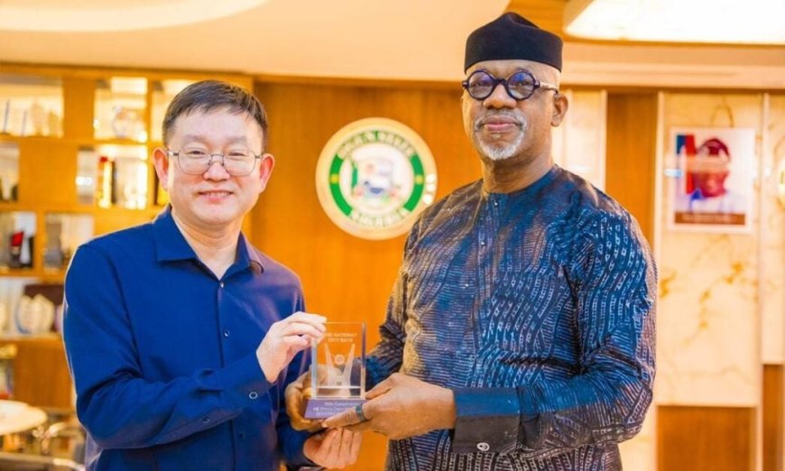Chinese firm to build power plant, industrial park in Ogun