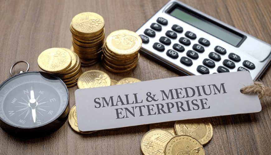 Nearly two-thirds of Nigerian MSMEs owners are 26–45 age group