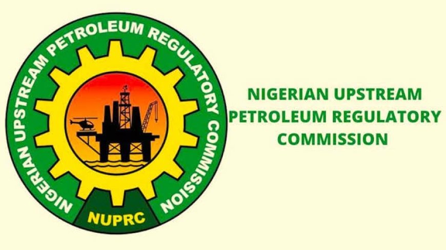 Upstream Oil Regulator Attracts $4.9bn Gas Investment, Unveils Road Map