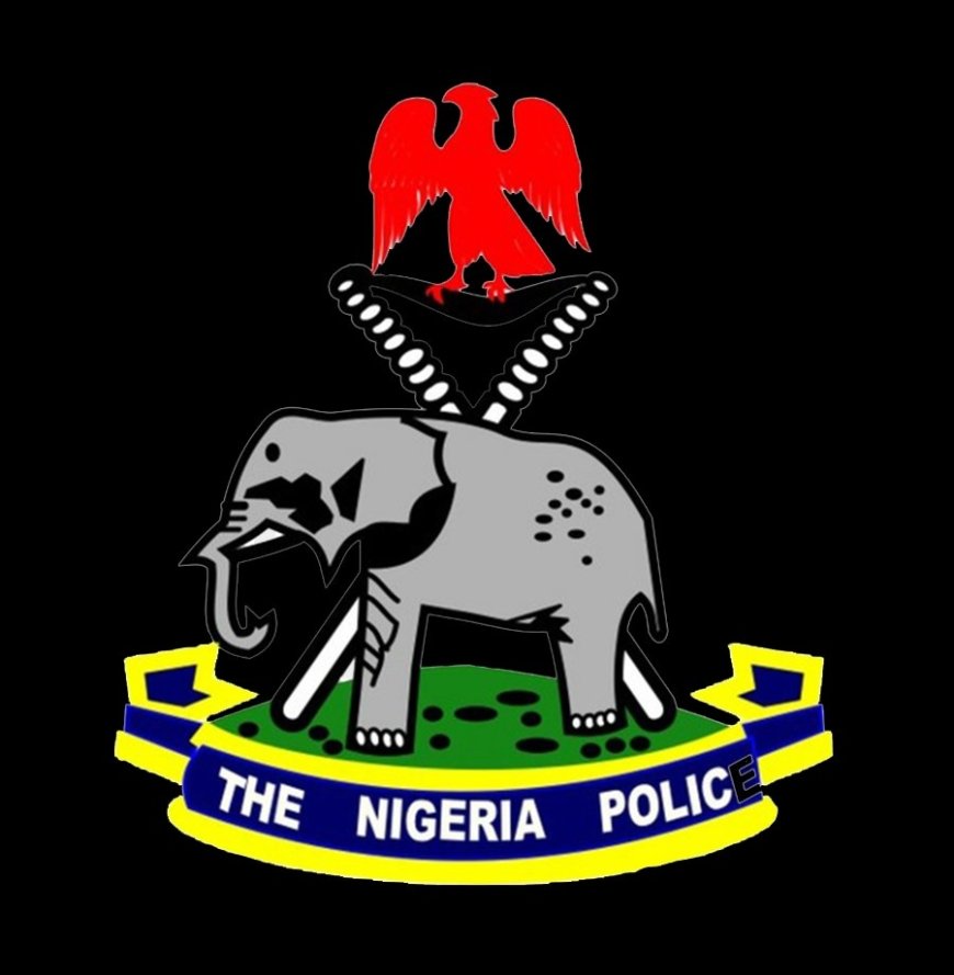 Nigeria Police temporarily suspend tinted glass permit enforcement