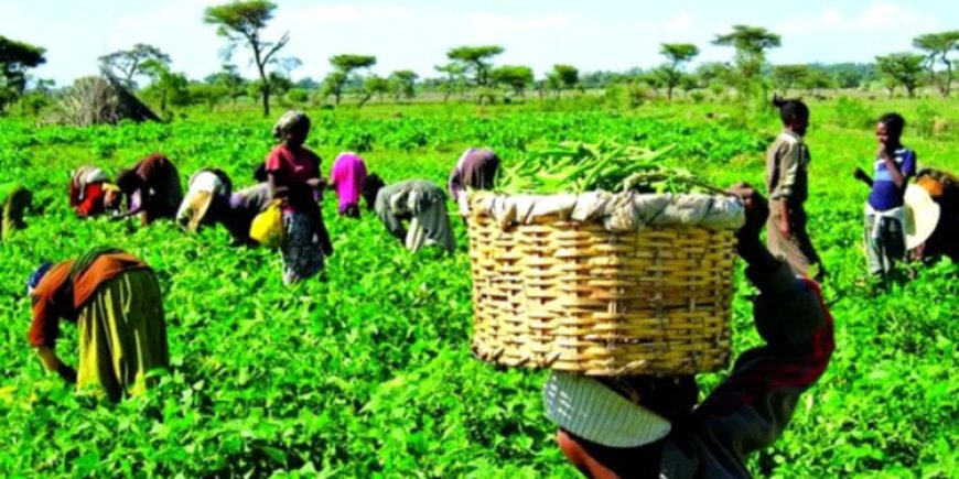 Crippling over 35 million farmers and crushing 20 years of progress