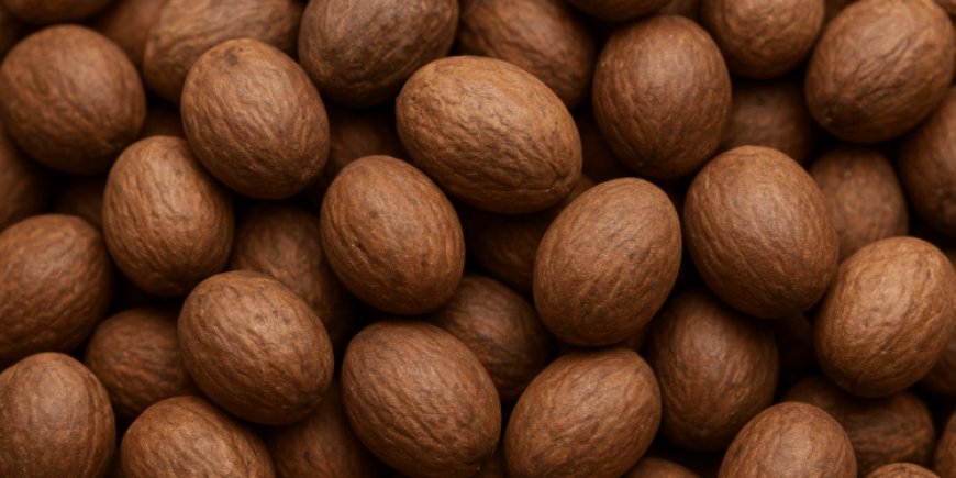 Shea nuts export ban splits industry as female pickers lose, processors gain