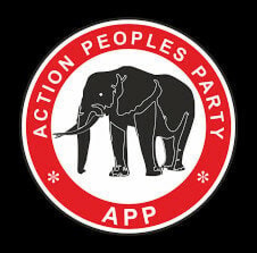 Action Peoples Party Will Provide People-driven Leadership In Imo –Amadi