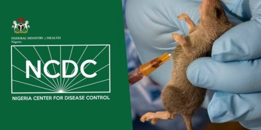 NCDC reports 172 deaths from Lassa fever in 21 states