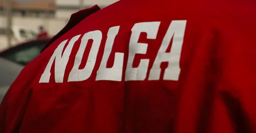 NDLEA rolls out e-portal to process visa clearance, drug test certificates
