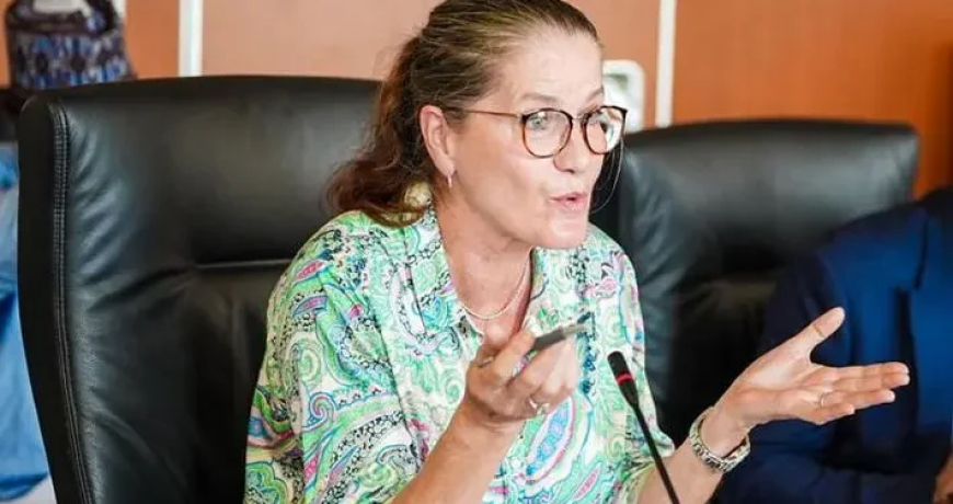 Germany-Nigeria trade volume rises 30% to €3 billion – Ambassador