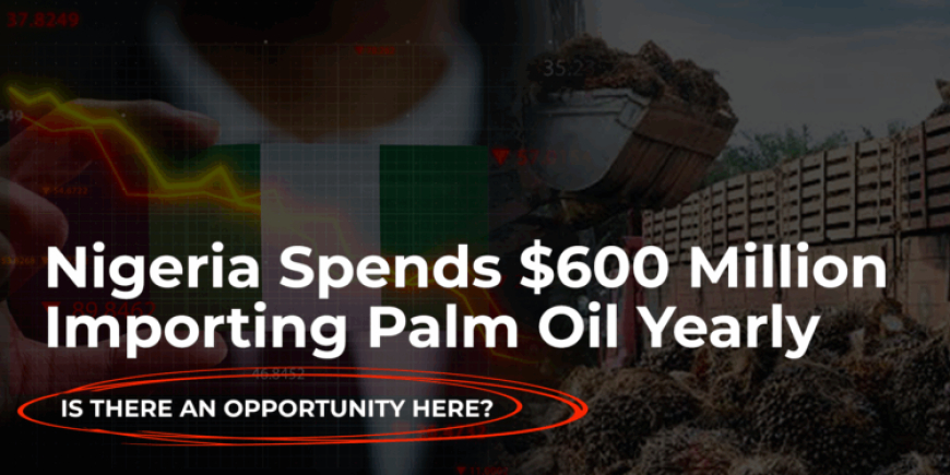 Nigeria spends $600 million importing palm oil yearly; is there an opportunity here?