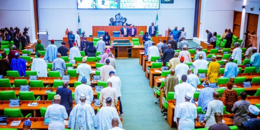 House of Representatives approves Tinubu’s $2.35 billion loan request for 2025 budget