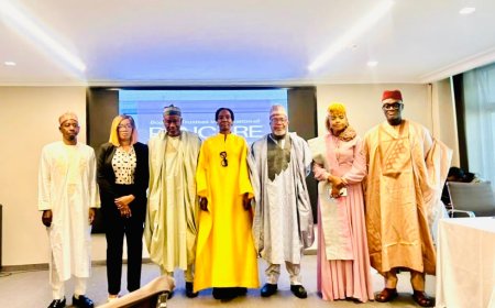 PenCom inaugurates BoT for retirees’ health insurance scheme ahead of 2026 launch