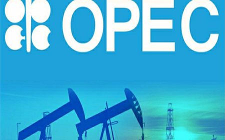 Add Value To Crude Oil For Economic Prosperity, OPEC Urges Local Refiners