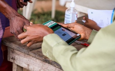 Yiaga asks INEC to strengthen logistics, enforce IReV compliance in Anambra guber