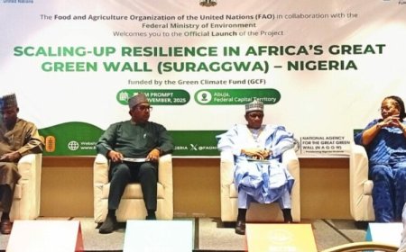 1.9m Farmers To Benefit As FAO Launches $222m Sahel Green Wall Project