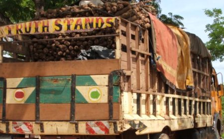 BIPC, NCX partner to end post-harvest losses in Benue