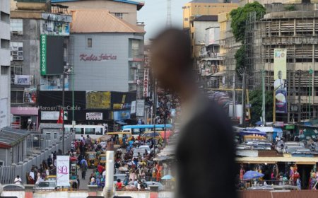FEC approves policies on commercialisation of intellectual property, digital trade, service export