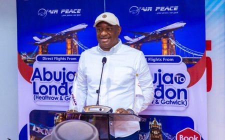 FG to establish Nigerian aircraft leasing company