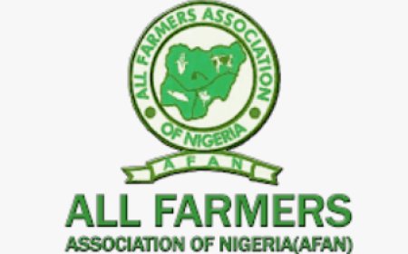 AFAN, cashew farmers fault FG over food prices