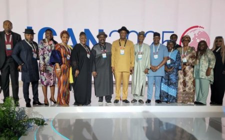 Nigeria, Sweden, Norway to review bilateral air service agreements