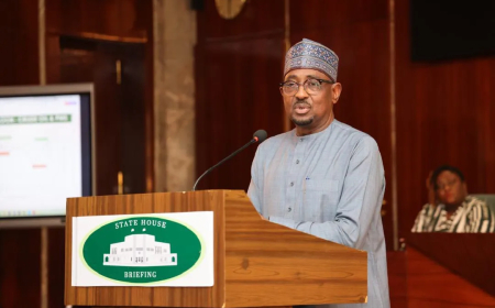 MDGIF invests N287 billion in gas infrastructure, unlocks $500m funding