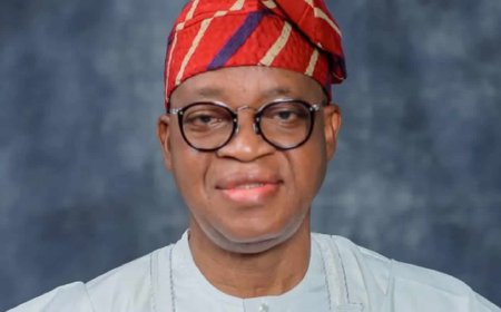 Fish output rises to 1.4 million tonnes – FG