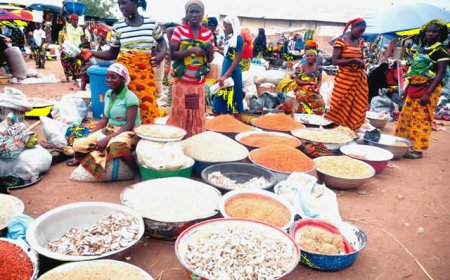 Foodstuffs prices crash in Benue markets