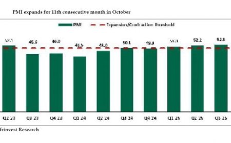 ‘How to optimise cocoa’s productivity’