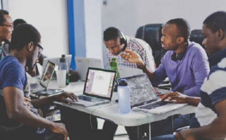 Why Nigerian startups avoid NGX listings—TLP report