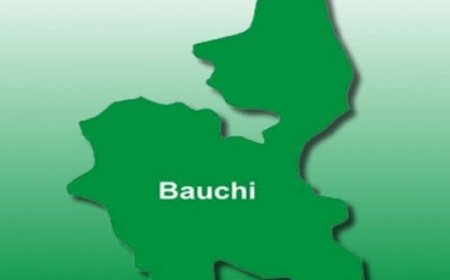 Bauchi Provides Malaria Treatment For 2m Children