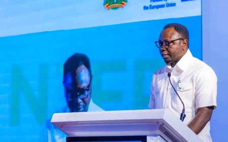 FG backs EU-funded reality show targeting youth entrepreneurship in 3 states