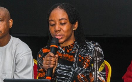 ‘12 states yet to begin’ — PenCom DG asks governors to implement CPS