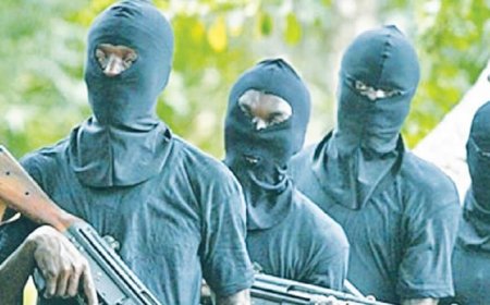 FG, states shut schools as terrorists abduct 215 Niger pupils