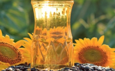 Experts hinge $3b non-oil target on sunflower value chain
