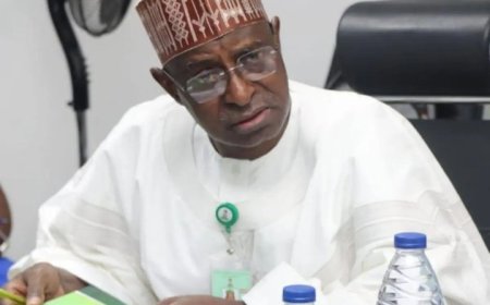 Nigerian Govt Bans Open Grazing To End Farmers-Herders Conflicts