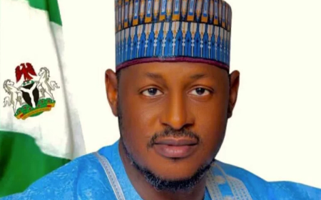 Katsina Leads In Tackling Climate Change