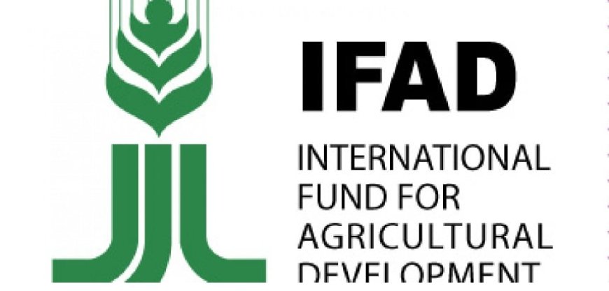 IFAD empowers 26,000 Nigerians through $30m project