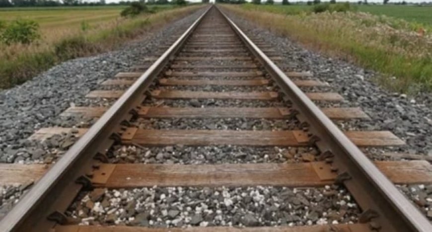 FG to unveil railway roadmap to connect 36 states, Abuja