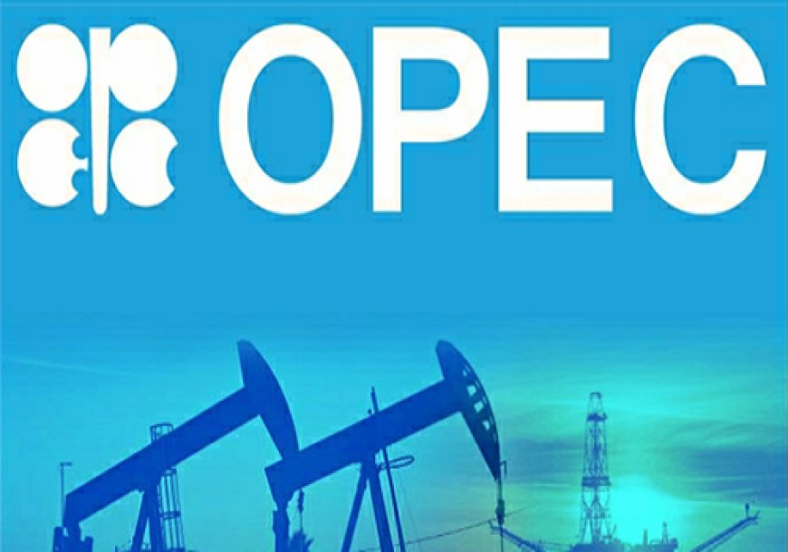 Add Value To Crude Oil For Economic Prosperity, OPEC Urges Local Refiners