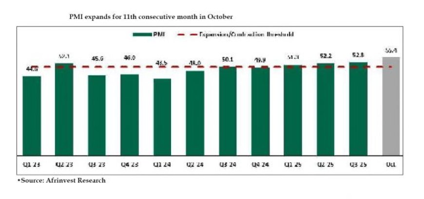 ‘How to optimise cocoa’s productivity’
