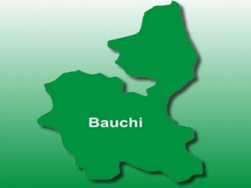 Bauchi Provides Malaria Treatment For 2m Children