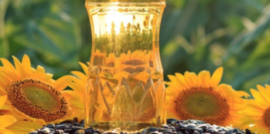 Experts hinge $3b non-oil target on sunflower value chain