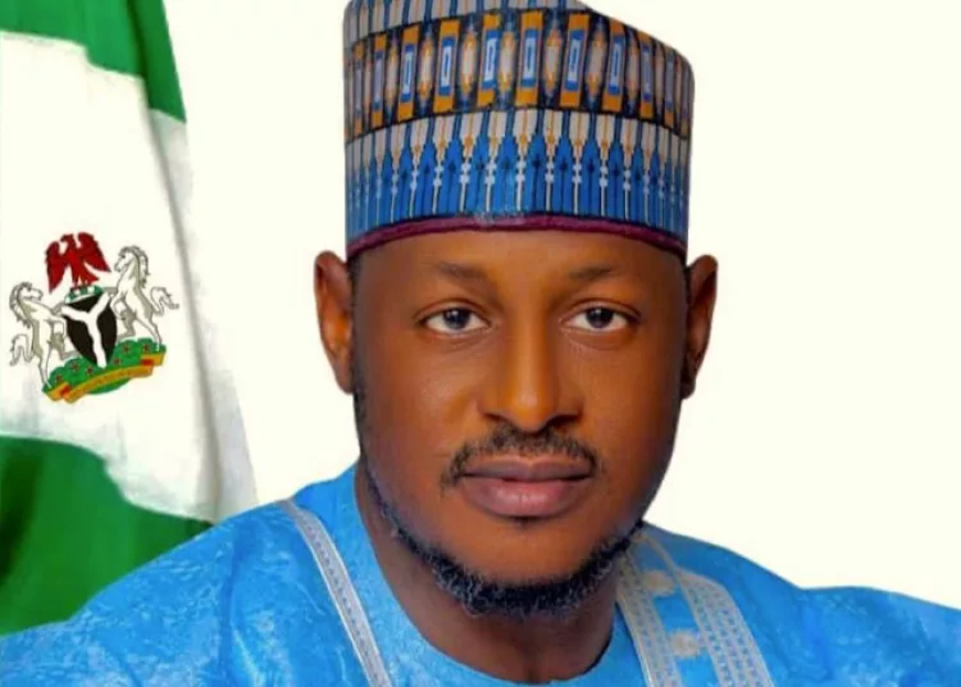 Katsina Leads In Tackling Climate Change